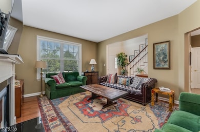 12 Higgins Ct, Flemington, NJ 08822 - photo 5