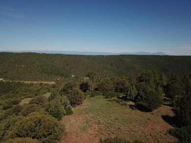 33021 Big Springs Overlook, Trinidad, CO 81082 - photo 2