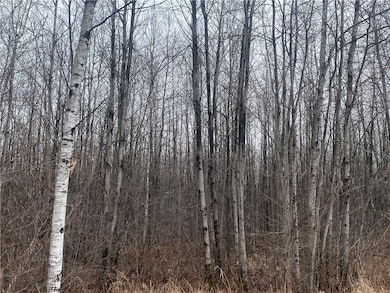 ON Cth I, Ogema, WI 54459 - photo 3