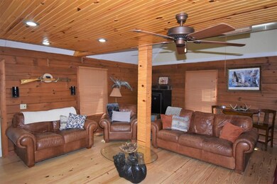 802 Buffalo Bottom Rd, Linden, TN 37096 - photo 4