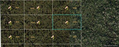 0 Dill Rd unit MFRO6233802, Orlando, FL 32820 - photo 2