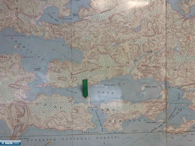 XX Pine Island NW, Tower, MN 55790 - photo 3