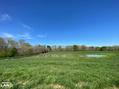 391 Co Rd 1171, Cullman, AL 35057 - photo 4