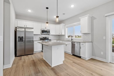 13118 Isetta Cir NE, Blaine, MN 55449 - photo 5