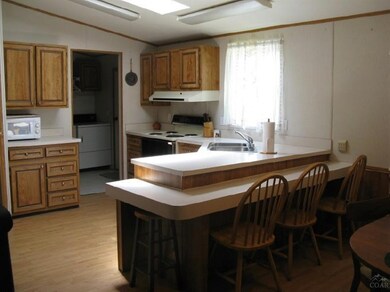 217 3 St, Long Creek, OR 97856 - photo 6