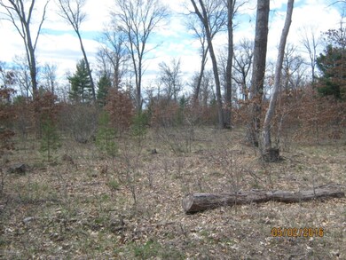 0 Peacock Trail Parcel ''A'', Baldwin, MI 49304 - photo 5