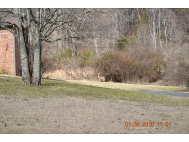 421 Macedonia Rd, Morristown, TN 37814 - photo 4