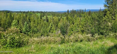 NNA E Van Dusen Rd, Harrison, ID 83833 - photo 7