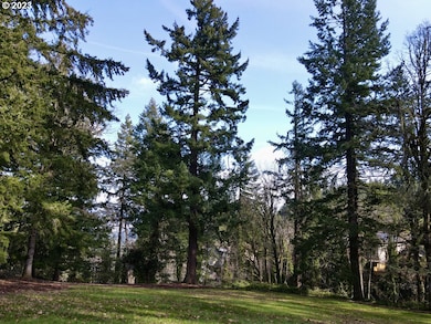 1384 Celtic Ct, Westlinn, OR 97068 - photo 6