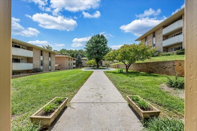 05-MIB03081
