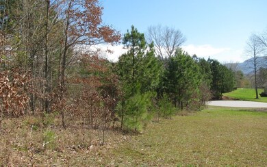 Additional View