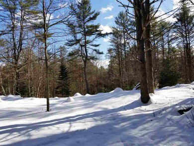 0 Ridge Rd unit 77 4676758, Lyman, NH 03585 - photo 2