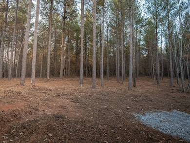 01 Concord Church Rd unit 1, Pickens, SC 29671 - photo 5