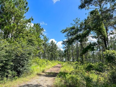 0 Cr 257 unit 22715481, Jasper, TX 75951 - photo 6