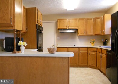 103 Lane St, Stephens City, VA 22655 - photo 5