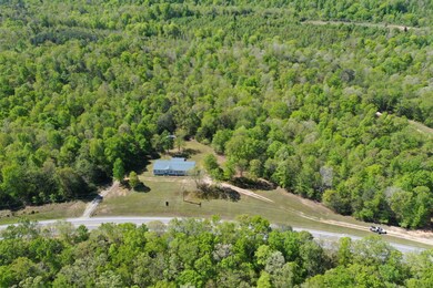 9582 Tennessee 13, Linden, TN 37096 - photo 3