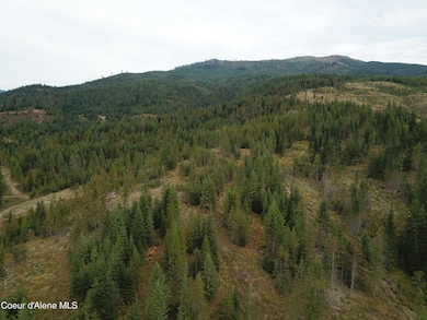 DJI_0017