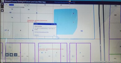 future land use