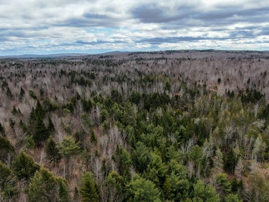 Lot 96 Freedom Way, Prentiss Township T7 R3 Nbpp, ME 04487 - photo 5