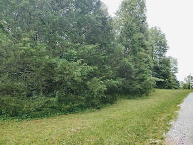 0 Little Pond Dr unit 25023106, Mountain View, AR 72560 - photo 3