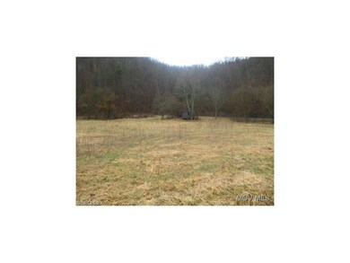Field