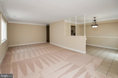 3900 Manzanita Place unit E, Alexandria, VA 22309 - photo 7