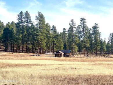 12405 Forest Service 772, Flagstaff, AZ 86001 - photo 7