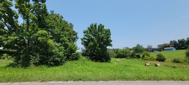 10.99 AC Eckles Cemetery Rd, Livingston, TN 38570 - photo 6