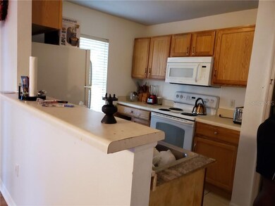 9808 Ashburn Lake Dr, Tampa, FL 33610 - photo 6