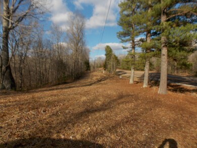 13S Tennessee 13, Linden, TN 37096 - photo 3