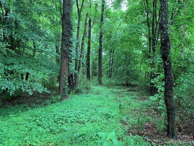 148 Ridgeview Rd, 12 Ridgeview Rd unit 124, Statesville, NC 28625 - photo 4