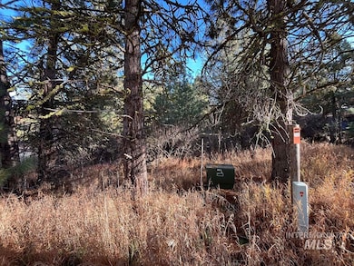 L129 Par Dr, Cascade, ID 83611 - photo 6