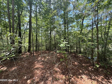 48 Megan Loop N, Hertford, NC 27944 - photo 6