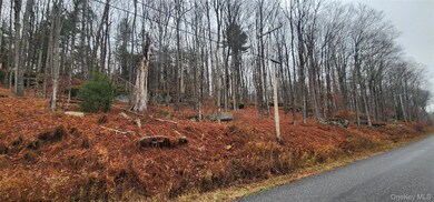 0 Thompsonville Rd, Thompson, NY 12701 - photo 6