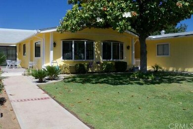 Front Yard with large shade tree