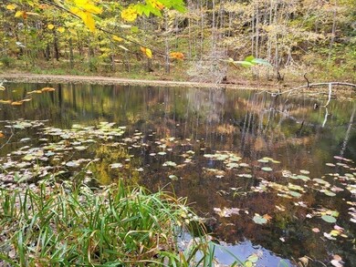 RR Stickney Hill Rd, Union, CT 06076 - photo 7