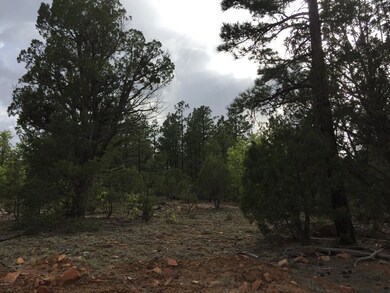 Paradise Pines 3
