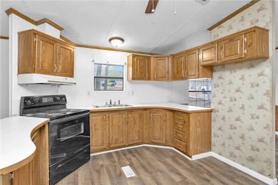 Kitchen with black / electric stove, under cabinet