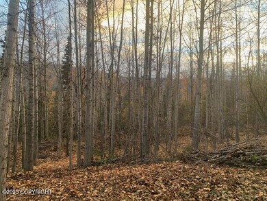 IMG_9916 (1)