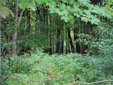 0 Irish Rd unit 28823, Venango Township, PA 16412 - photo 6