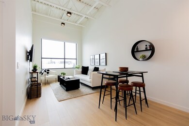 515 W Aspen St unit 317, Bozeman, MT 59715 - photo 5