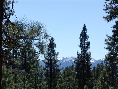 Filtered Mountain Views Thru The Trees