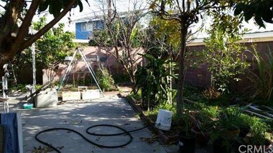 Back yard (left side)