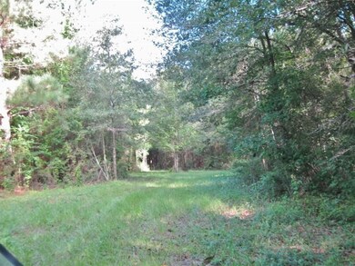 000 Sims Thornhill Rd, Tylertown, MS 39667 - photo 5