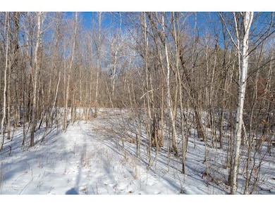 Lot 12 133rd St, Balsam Lake, WI 54001 - photo 5
