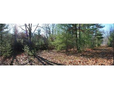 Land. view inside the lot, nice open...