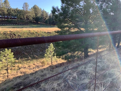 Lot 4 James Canyon Hwy unit 4, Cloudcroft, NM 88317 - photo 7