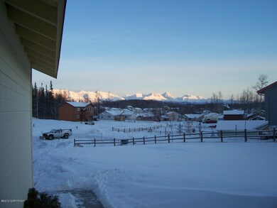 Winter view from house