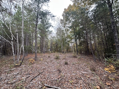 316 Arbor Rd, Linden, TN 37096 - photo 3