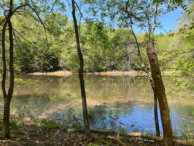 55600 E 319 Trail, Jay, OK 74346 - photo 7